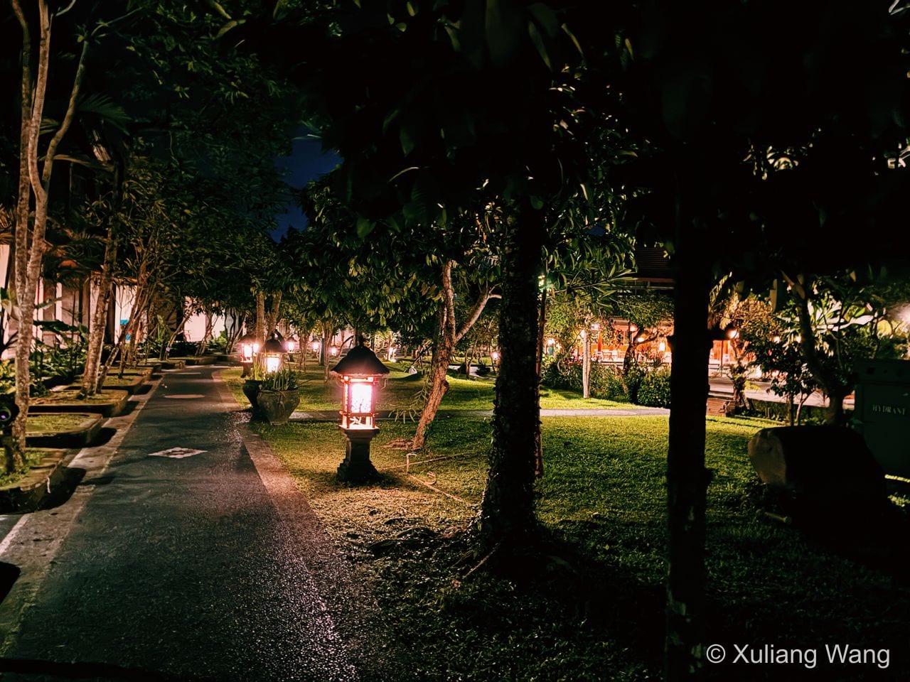 The Nocturnal Passage